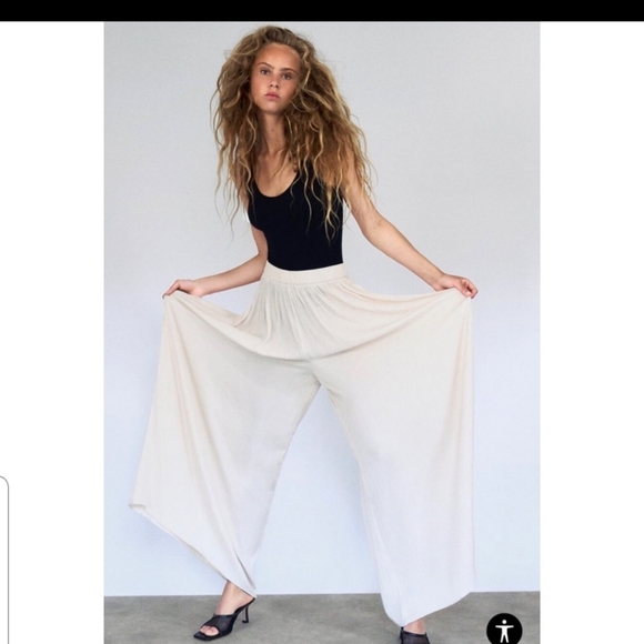 Zara Palazzo Pleated Pants - Vanilla - Picture 7 of 11